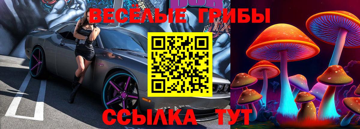 Костомукша  Псилоцибиновые грибы Magic Shrooms  Вход с VPN 