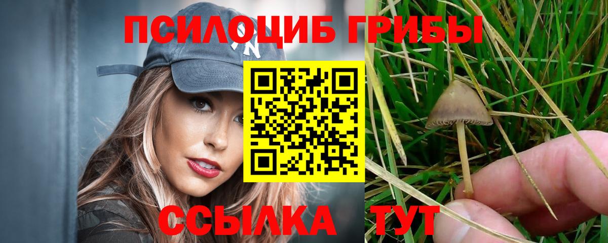 Псилоцибиновые грибы прущие грибы Костомукша